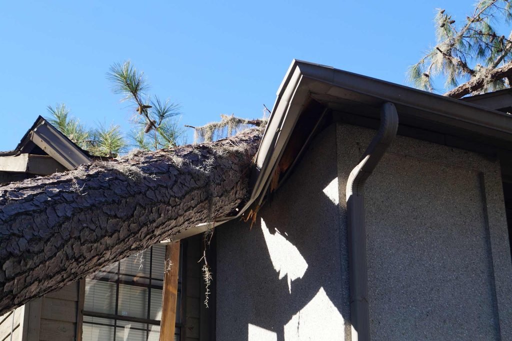 storm damage to roof